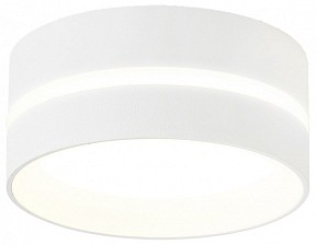 Накладной светильник Ambrella Light TN белый арт. TN5388