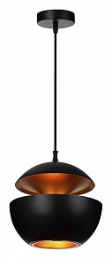 Подвесной светильник Loft it Apple черный арт. LOFT2212-B