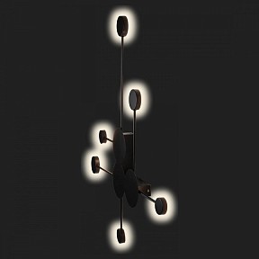 Накладной светильник Loft it Rays черный арт. 10058BK