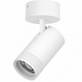 Спот Lightstar Canno Pro белый арт. C4406SO