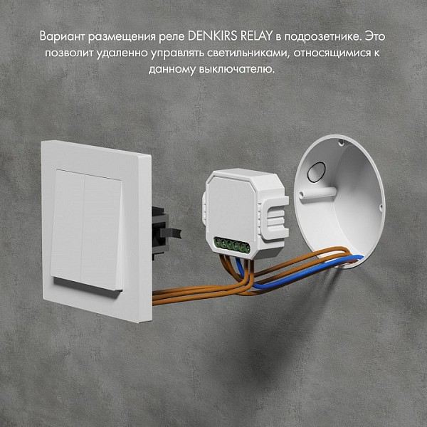 Контроллер Denkirs Relay белый арт. RL1004-DM/1