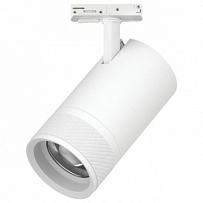 Светильник на штанге Lightstar Canno Pro белый арт. C4406SS