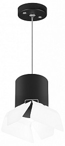 Подвесной светильник Lightstar Rullo черный арт. RP3487486
