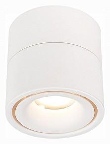 Светильник на штанге ST-Luce ST652 белый арт. ST652.542.12