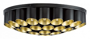 Потолочная люстра Lightstar Siena черный арт. 720407