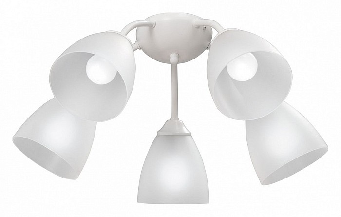 Потолочная люстра Vitaluce V3737 белый арт. V3737-0/5PL
