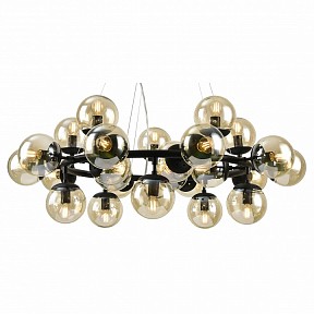 Подвесной светильник Arte Lamp 1664 черный арт. A1664SP-25BK