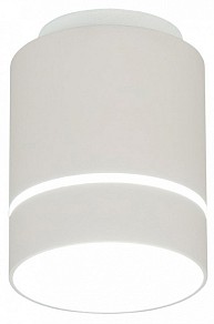 Накладной светильник Citilux Борн белый арт. CL745010N