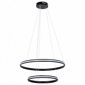 Подвесной светильник Arte Lamp Meridiana черный арт. A2198SP-2BK
