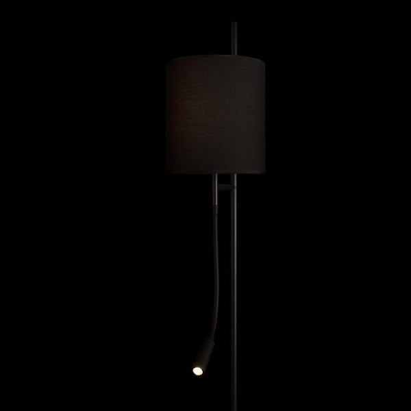Торшер с подсветкой Loft it Ritz черный арт. 10253F/B Black