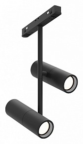Светильник на штанге Maytoni Elti Duo черный арт. TR005-2-2X12W3K-B