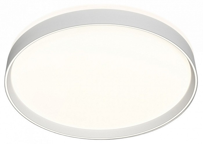 Накладной светильник Denkirs PLATO белый арт. DK6511-WH/1