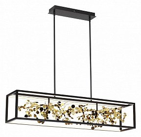 Светильник на штанге Odeon Light Bild черный арт. 5065/65L