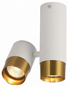 Накладной светильник Lussole Gilbert белый арт. LSP-8829