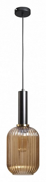 Подвесной светильник Loft it Iris 1 черный арт. 2071-A+BL