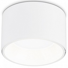 Накладной светильник Ambrella Light TN белый арт. TN52892