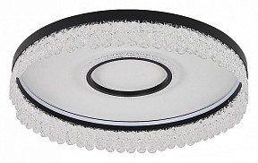 Накладной светильник F-promo Lunetta черный арт. 4187-2C